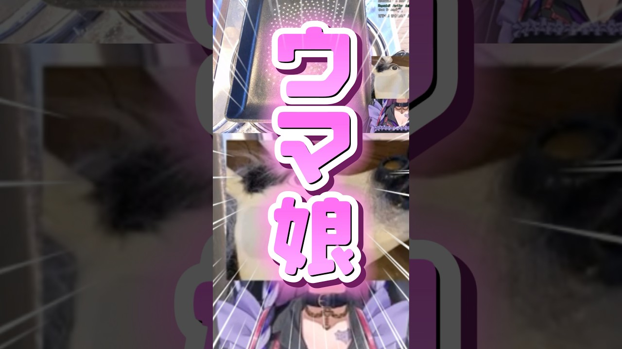 1756628035_maxresdefault-9281657-5448080-jpg