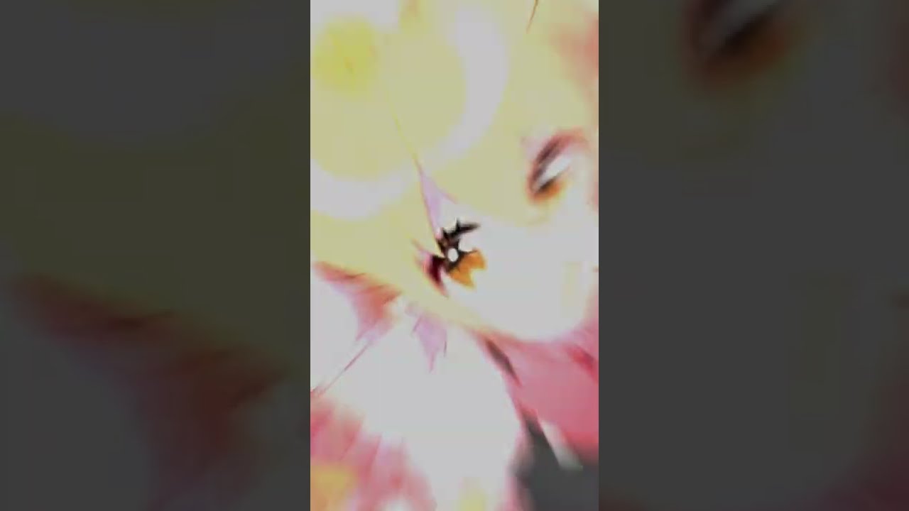 1758418653_maxresdefault-9469458-3536113-jpg