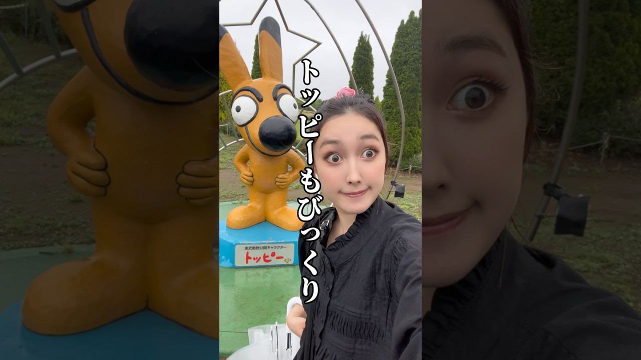 1762517726_maxresdefault-2622382-5978121-jpg