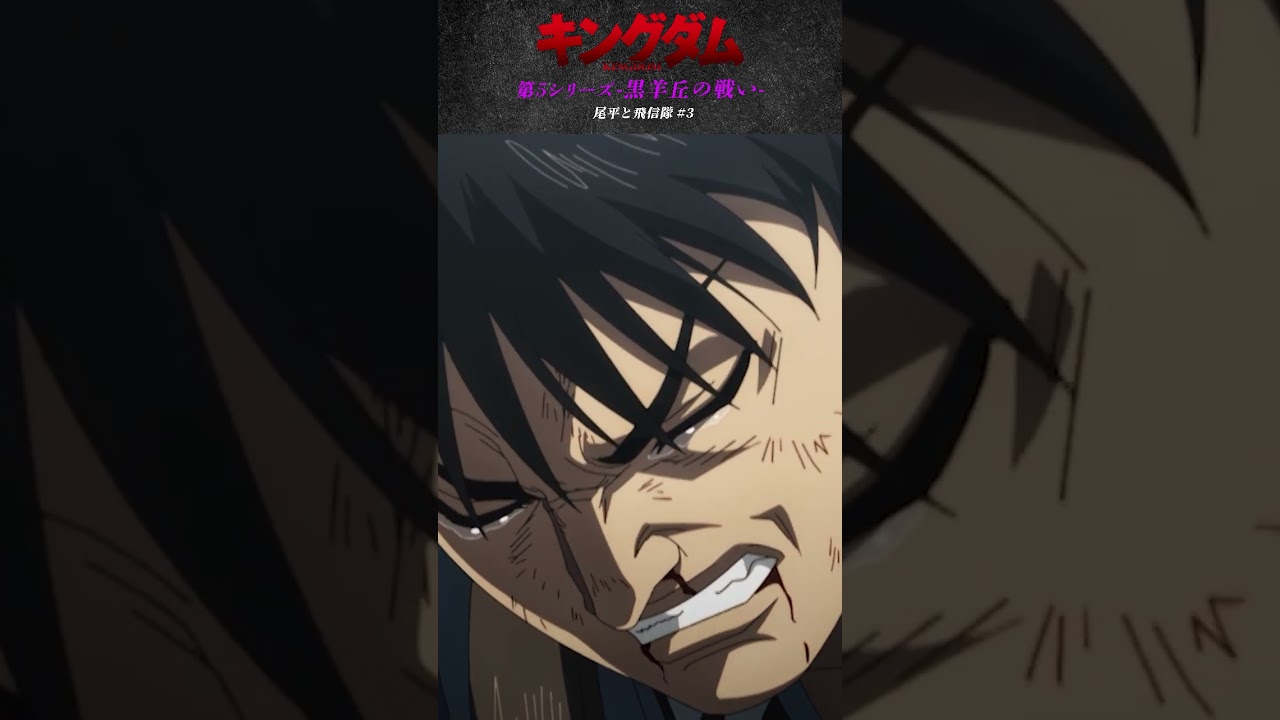 1762979514_maxresdefault-9934514-2781414-jpg