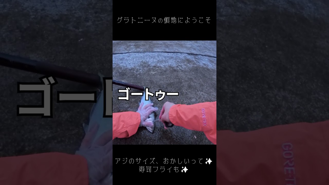 1763816898_maxresdefault-2775151-4477492-jpg