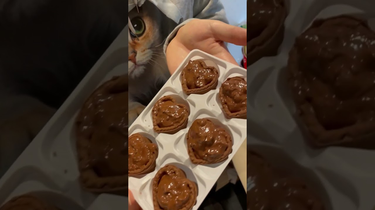 1764193849_maxresdefault-5561193-7994261-jpg