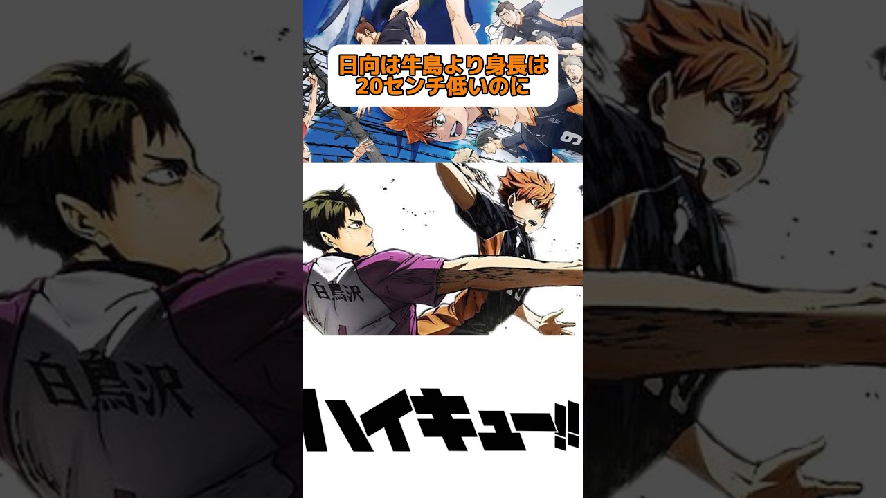 1767338434_maxresdefault-2111962-6382408-jpg