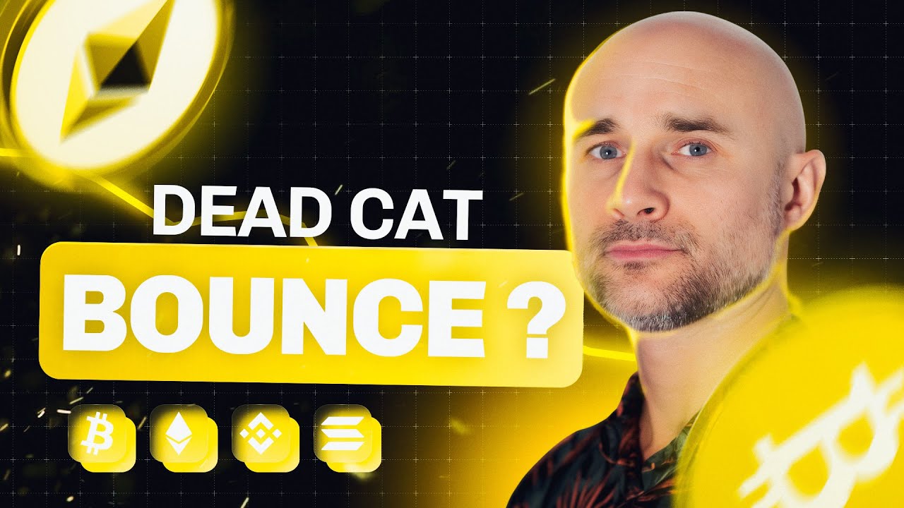 1767340888_maxresdefault-1618547-3077020-jpg